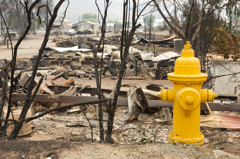 Illustration for article titled Aftermath Of Washington Wildfires Has Made An Eerie Car Graveyard